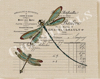 Teal dragonfly art, French art print, printable digital download 650