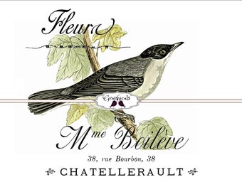 Bird printable, French wall art digital download 1825