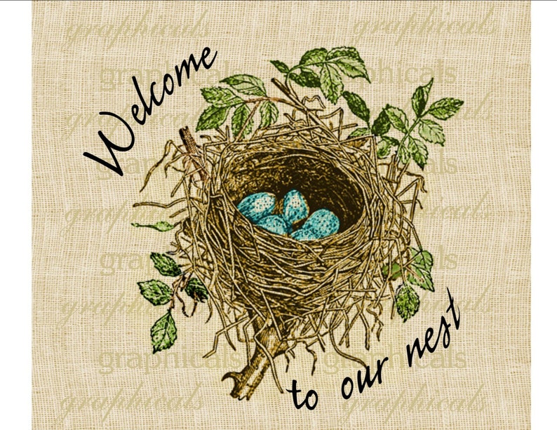 1817 Welcome to our Nest Blue eggs graphic download image for iron on fabric transfer burlap decoupage pillows cards scrapbook No