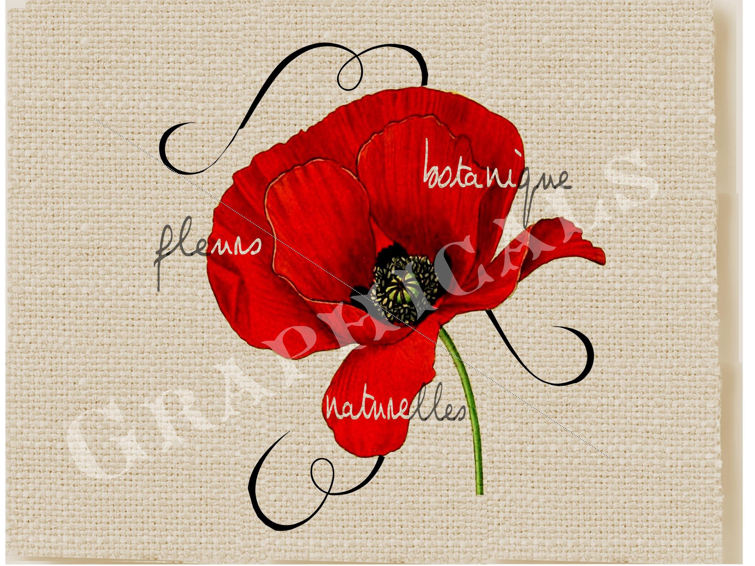 Poppy printable digital download image for scrapbook crafts | Etsy