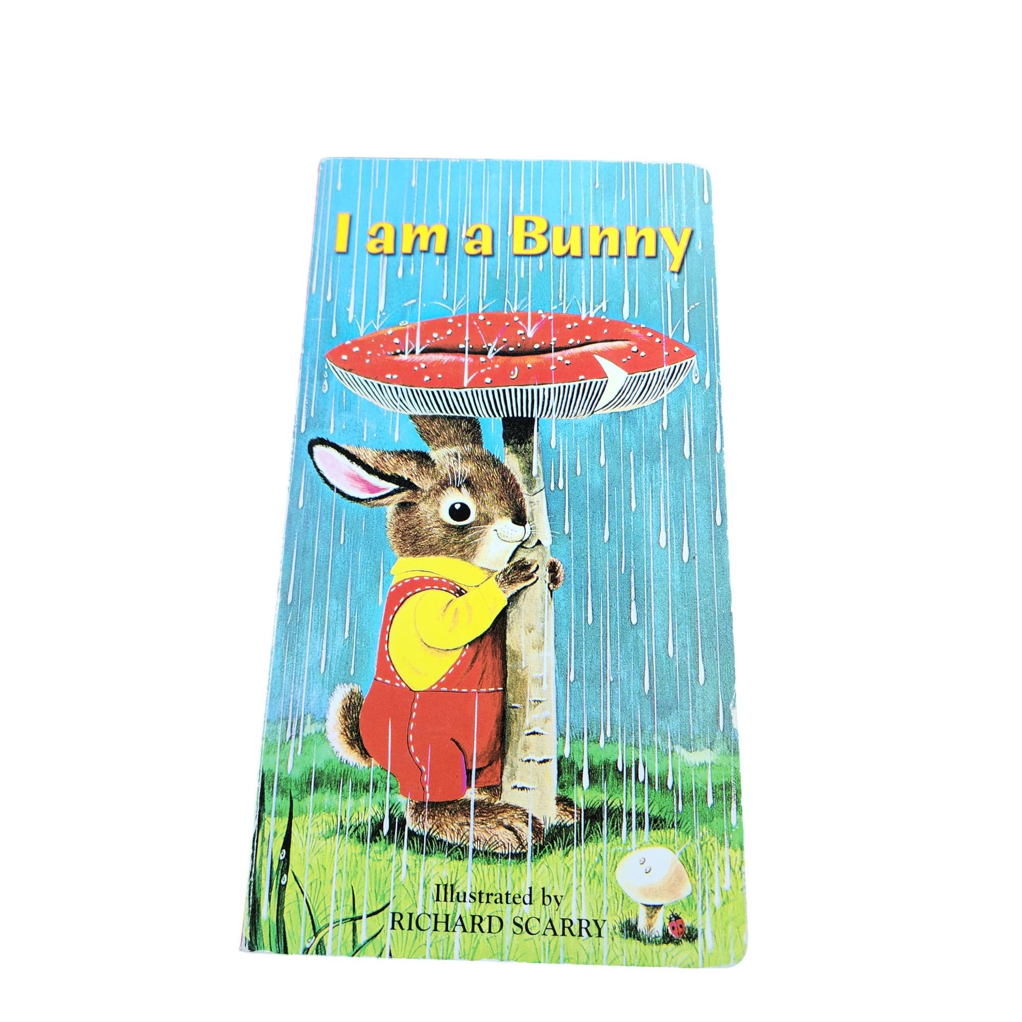 Richard Scarry Goldbug - Etsy Canada