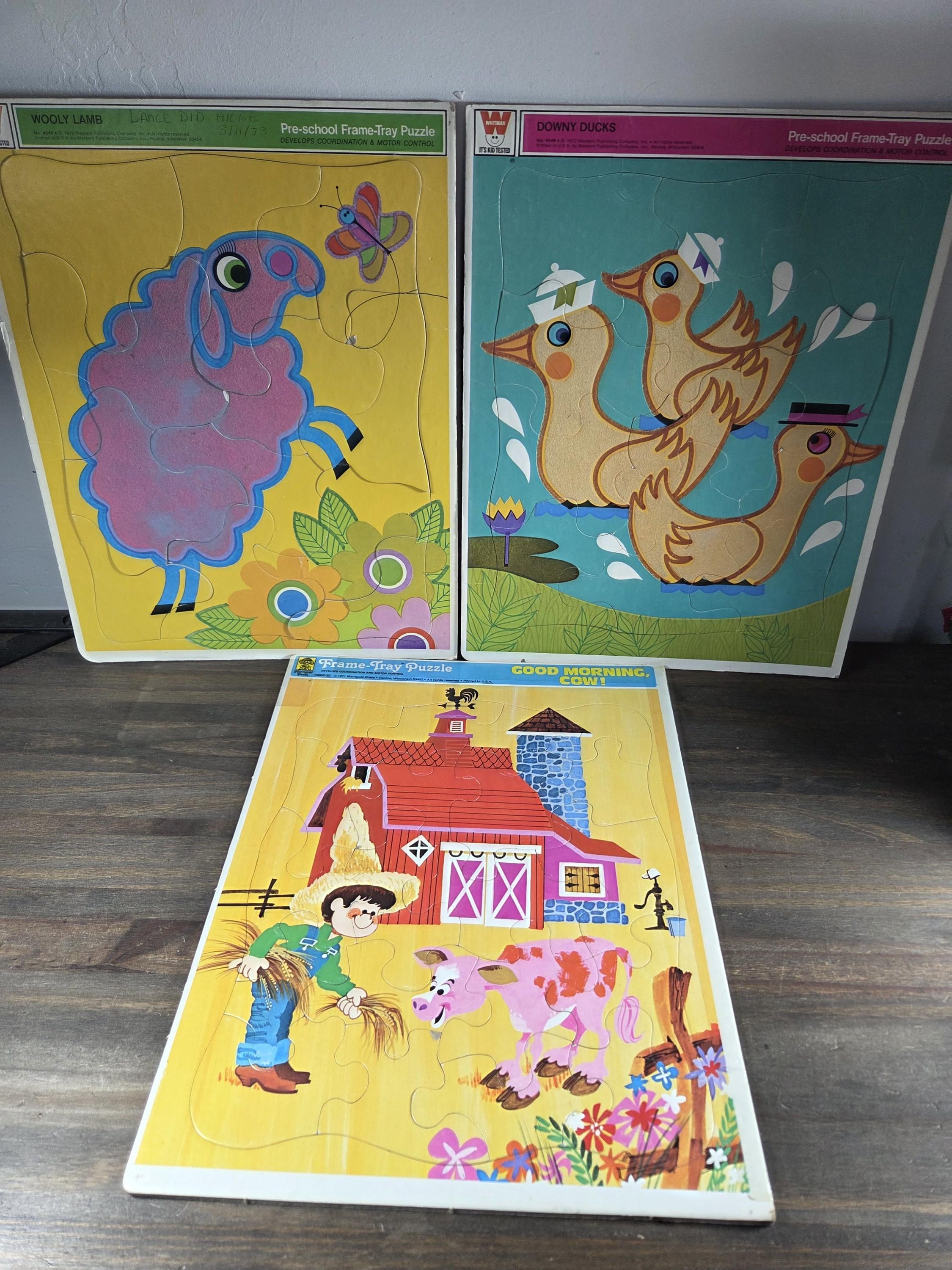 Large Vintage Frame Tray Puzzle 11