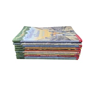May include: A stack of ten Magic Tree House chapter books by Mary Pope Osborne, numbered one through ten. The titles include Dinosaurs Before Dark, The Knight at Dawn, Mummies in the Morning, Pirates Past Noon, Night of the Ninjas, and others.