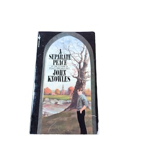 Una pace separata - Copertina flessibile di Knowles, John Libro 4838