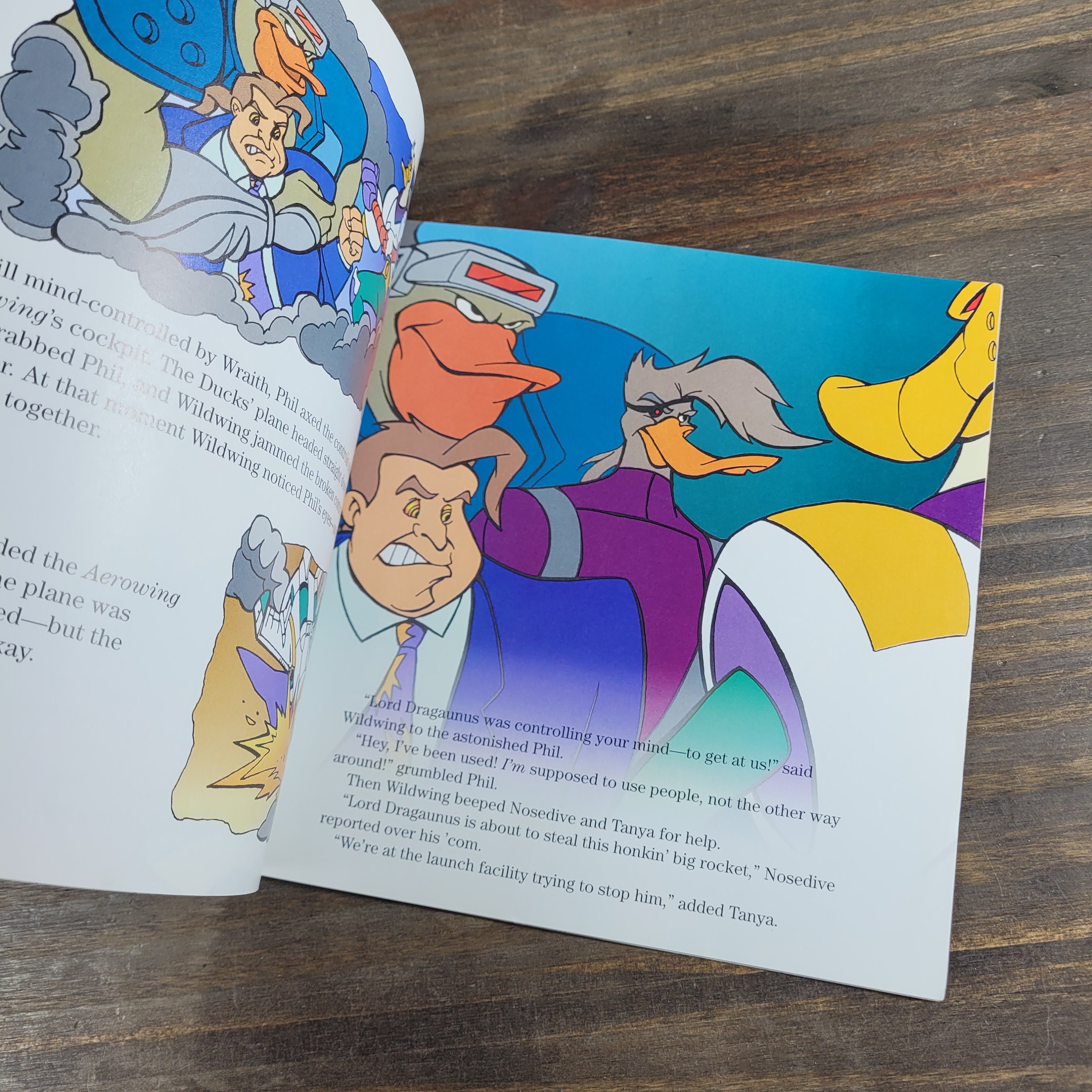 The Mighty Ducks Phil in the Blanks Paperback Picture Book 