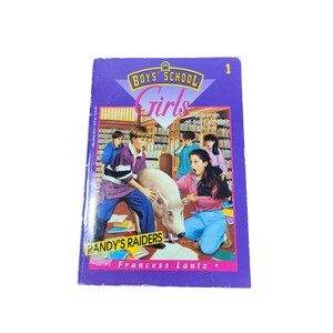 Boys&#39; School Girls Series #1 Randy&#39;s Raiders 1994 Paperback Book 3700