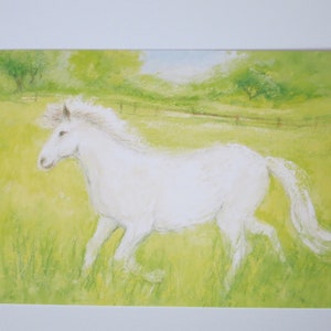 weißes Pferd - Postkarte - Jahreszeitentisch - Waldorf- Tiere - Pferde-Sommer - Art. SOPK234