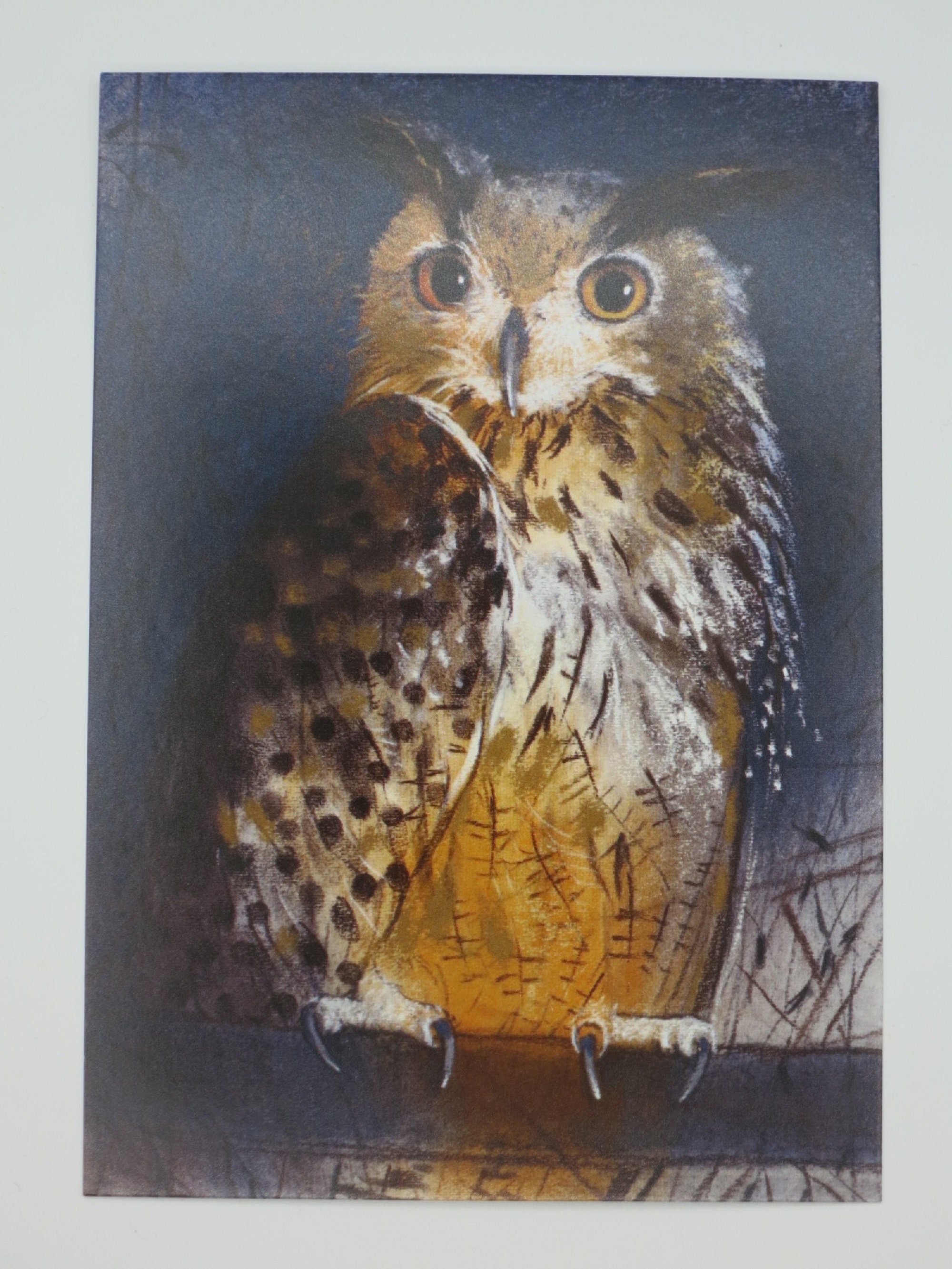 Gufo comune Tavolo stagionale Cartolina Gufo Uccello