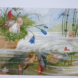 Il simpatico pesce - tavola stagionale - cartolina - Waldorf - Art. SOPK172
