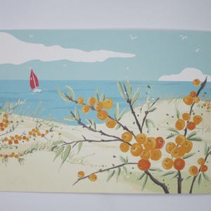 Argousier sur la dune - grande carte postale - automne - Waldorf - table saisonnière - dunes - mer - plage - article n°HEPK269