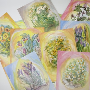 Jeu de cartes d'herbes sauvages - 16 cartes postales - table de saison - Waldorf - Waldorf - Art.