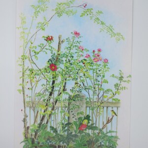Roses tardives - carte postale pour la table de saison - Waldorf - roses dans le jardin - été - Art.