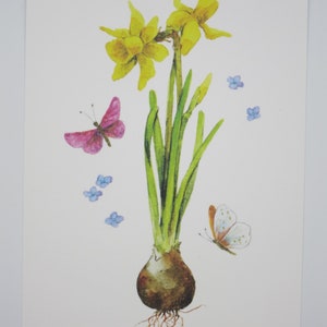 Narcisi - biglietto d'auguri - cartolina - Pasqua - primavera - narciso - articolo n
