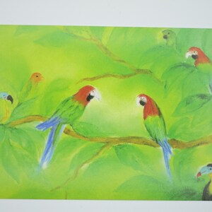 Papageien - Postkarte - Jahreszeitentisch - Waldorf - Amazonas - Sommer - Zoo - Art. SOPK312