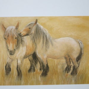 Belgische Pferde - Postkarte - Jahreszeitentisch - Waldorf - Pferdekarte - Sommer - Art. SOPK121