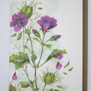 Wiesenblume - Geburtstagskarte- Karte mit Umschlag - Doppelkarte- Art.Nr. GRPK10