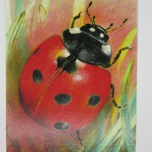 Coccinelle - carte postale pour la table de saison - Waldorf - été - Lucky Beetle - Art.