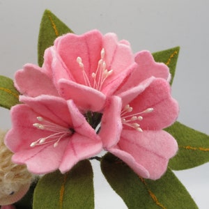 Rhododendron - Flower Child - Waldorf Inspired - Nature Table