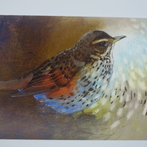 Fieldfare - Table saisonnière - Carte postale - Waldorf - Article n° FRPK156