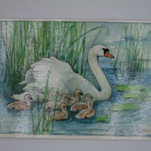 Famille de cygnes - Carte postale pour la table de saison - Été - Waldorf - Art. SOPK391