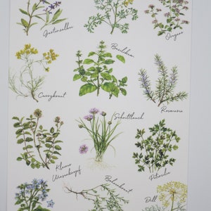Jardim - cartão de aniversário - cartão postal - item no. GRPK12