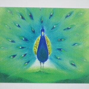 孔雀 - ポストカード - 季節のテーブル - ウォルドルフ - 鳥 - 夏 - 孔雀の羽 - アート。