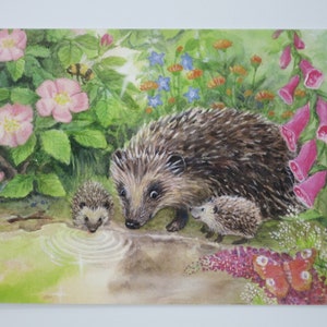 Igel im Garten - Postkarte für den  Jahreszeitentisch -  Sommer - Waldorf - Art. SOPK183