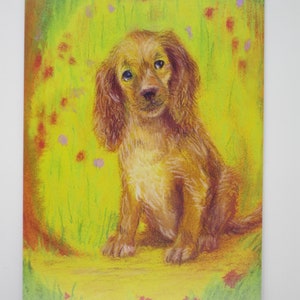 Le chien - Table saisonnière - Waldorf - Carte postale - Teckel - Animal de compagnie - Été - Art.