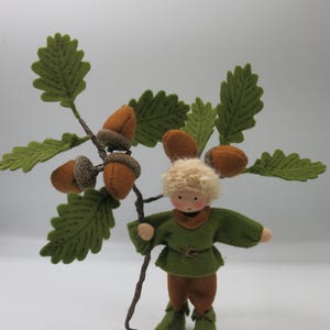 Acorn - Flower Child - Waldorf  - Nature Table