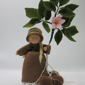 Potato - Flower Child - Waldorf - Nature Table