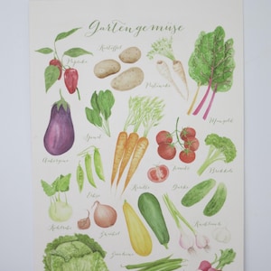 Gartengemüse - Postkarte groß - Sommer - Gartenarbeit - Waldorf - Jahreszeitentisch - Art. SOPK56