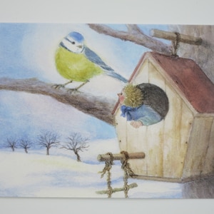 Già occupato - cartolina - tavola stagionale - inverno - casetta per gli uccelli - neve - Waldorf - codice articolo FRPK186