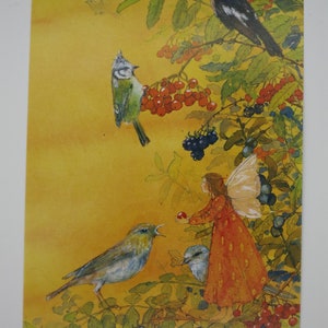 Elfe und Vögel - Postkarte für den  Jahreszeitentisch - Herbst - Waldorf- Art. Nr.HEPK188