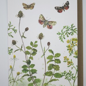 Schmetterlinge mit Blumen - Grußkarte- Karte mit Umschlag - Doppelkarte- Art.Nr. GRPK49