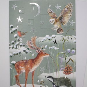 May include: An illustrated advent calendar with a winter forest scene, including a deer, owl, badger, and robin. The calendar has a pale green background with silver foil stars and a crescent moon. Numbers 1-24 are displayed.