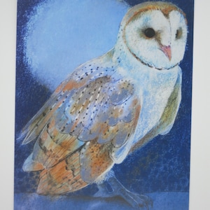 フクロウ - ポストカード - 季節のテーブル - ウォルドルフ - 雪 - 秋 - 鳥 - 商品番号 WIPK272