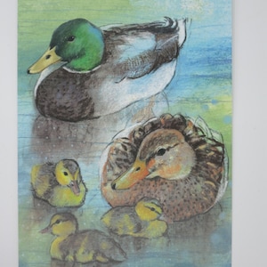 Famille de canards - carte postale - table de saison - Waldorf - oiseau - Art.