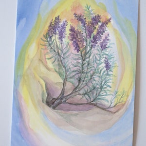 Lavanda - Tavola stagionale - Cartolina - Waldorf - Estate - Articolo n. BLPK59
