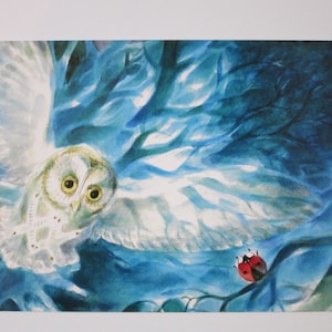 Le petit hibou - carte postale - tableau de saison - Waldorf hiver réf. WIPK51