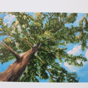 Amido - Cartolina per la tavola stagionale - Estate - Waldorf - Cartolina - Art. SOPK74