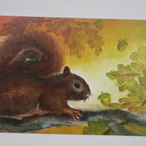 Das Eichhörnchen - Postkarte für den Jahreszeitentisch - Herbst - Waldorf- Art. Nr.HEPK279