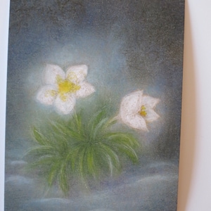 Christrose - Postkarte - Jahreszeitentisch - Waldorf - Winter - Blumen - Schnee- Art. Nr. WIPK333