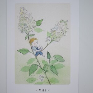 Monatskarte Mai - Flieder - Postkarte für den Jahreszeitentisch - Frühling - Waldorf- Art.Nr FRPK268