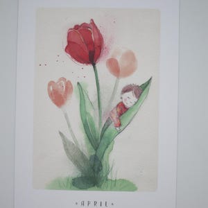 Monatskarte April - Tulpe - Postkarte für den Jahreszeitentisch - Frühling - Waldorf- Art.Nr FRPK269