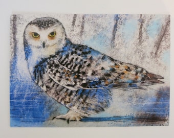 Snow Owl - Postcard - Seasonal Table - Waldorf