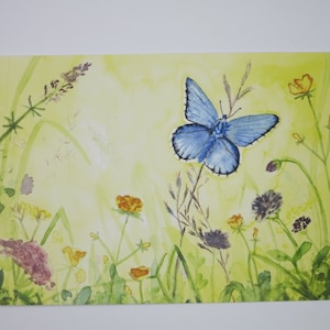 Papillon sur une prairie - table saisonnière - carte postale - Waldorf - printemps - prairie fleurie - papillons - Art.