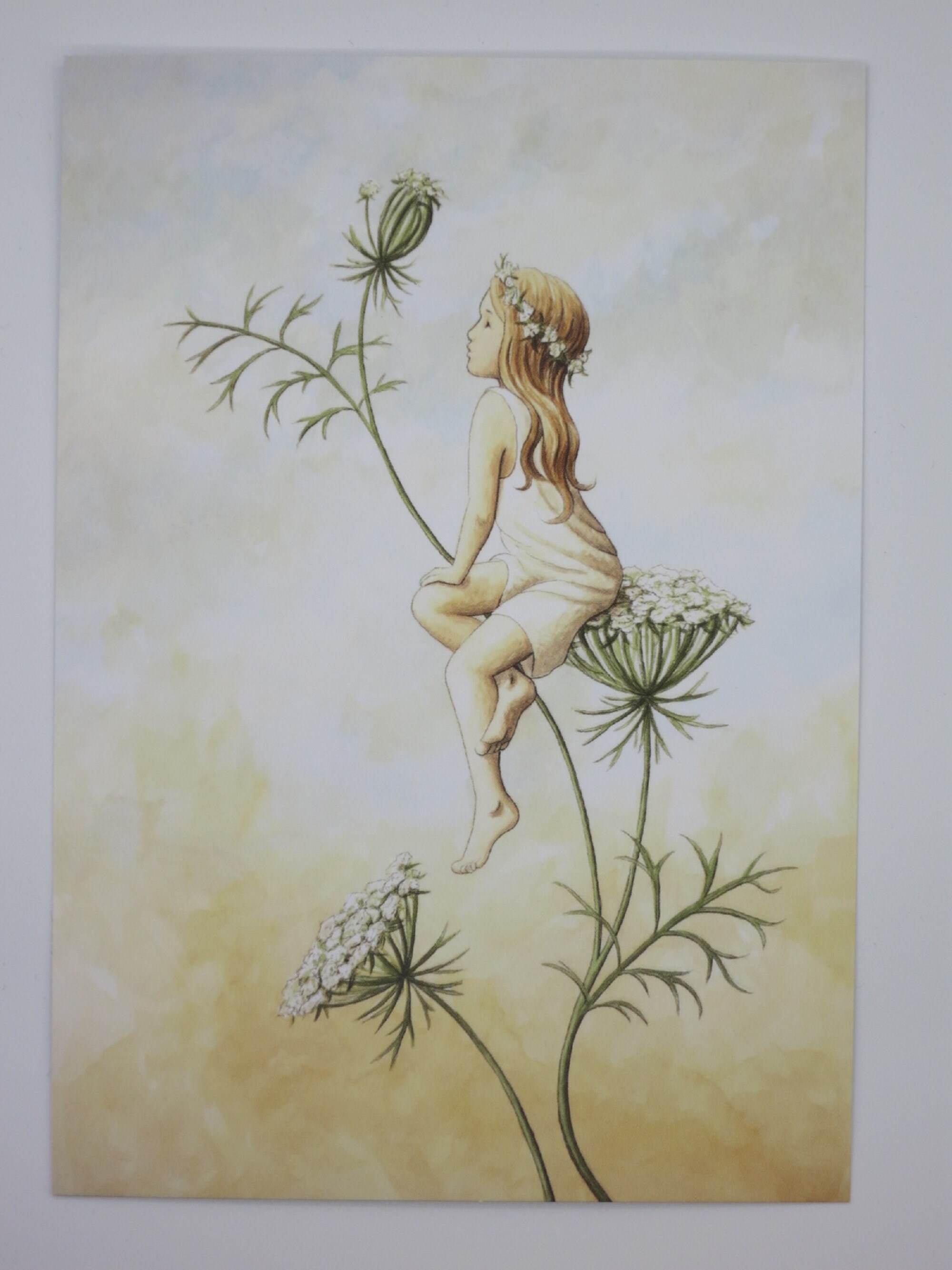 Summer Elf - Postcard - Seasonal Table - Waldorf - Summer - Girl - Fairy - Art. SOPK50