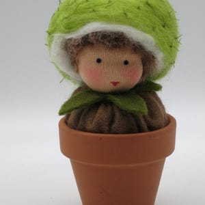 Op de afbeelding: Een vilten pop met een groene vilten hoed en een bruin vilten lichaam zit in een terracotta pot. De pop heeft een witte vilten kraag en een bruin vilten gezicht met geschilderde ogen en een rode mond.