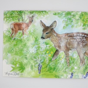 Rehe- Postkarte - Jahreszeitentisch - Sommer - Waldorf - Waldtiere - Art. SOPK351