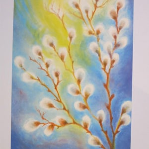 Weidenkätzchen  - Jahreszeitentisch -  Waldorf - Postkarte - Frühling- Art.Nr FRPK46